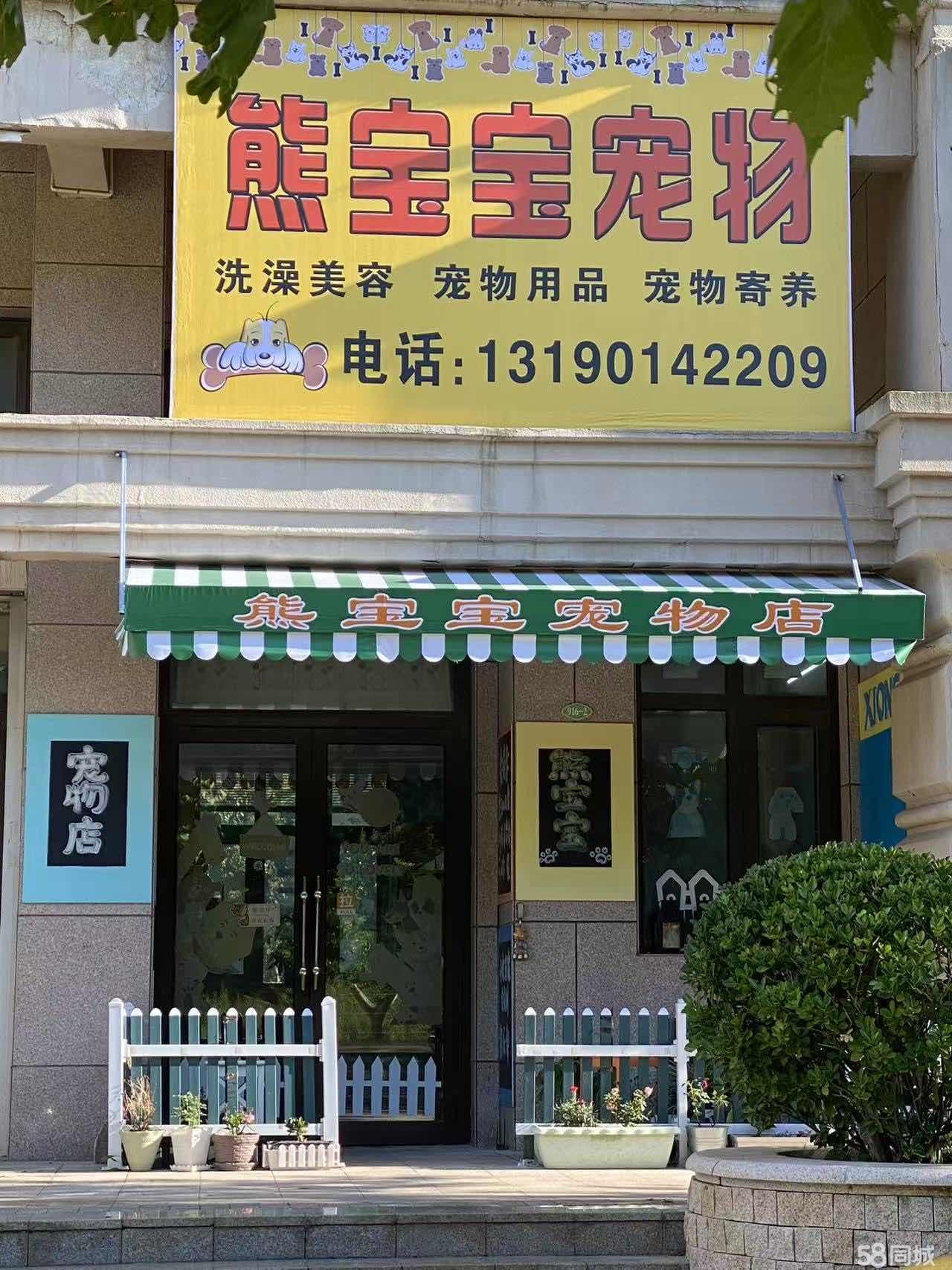 经营5年的宠物店会员100人稳定