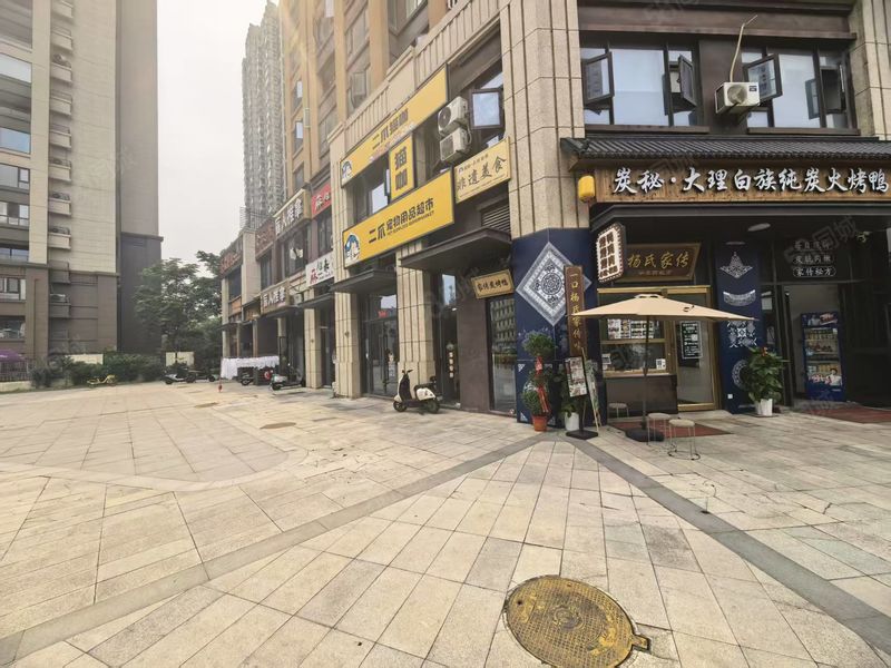 江汉区常青街道远洋四季小区宠物店空转无行业限制