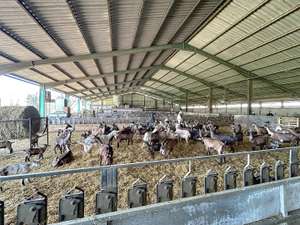 A vendre FDC chocolaterie en Côtes d'Armor (22)