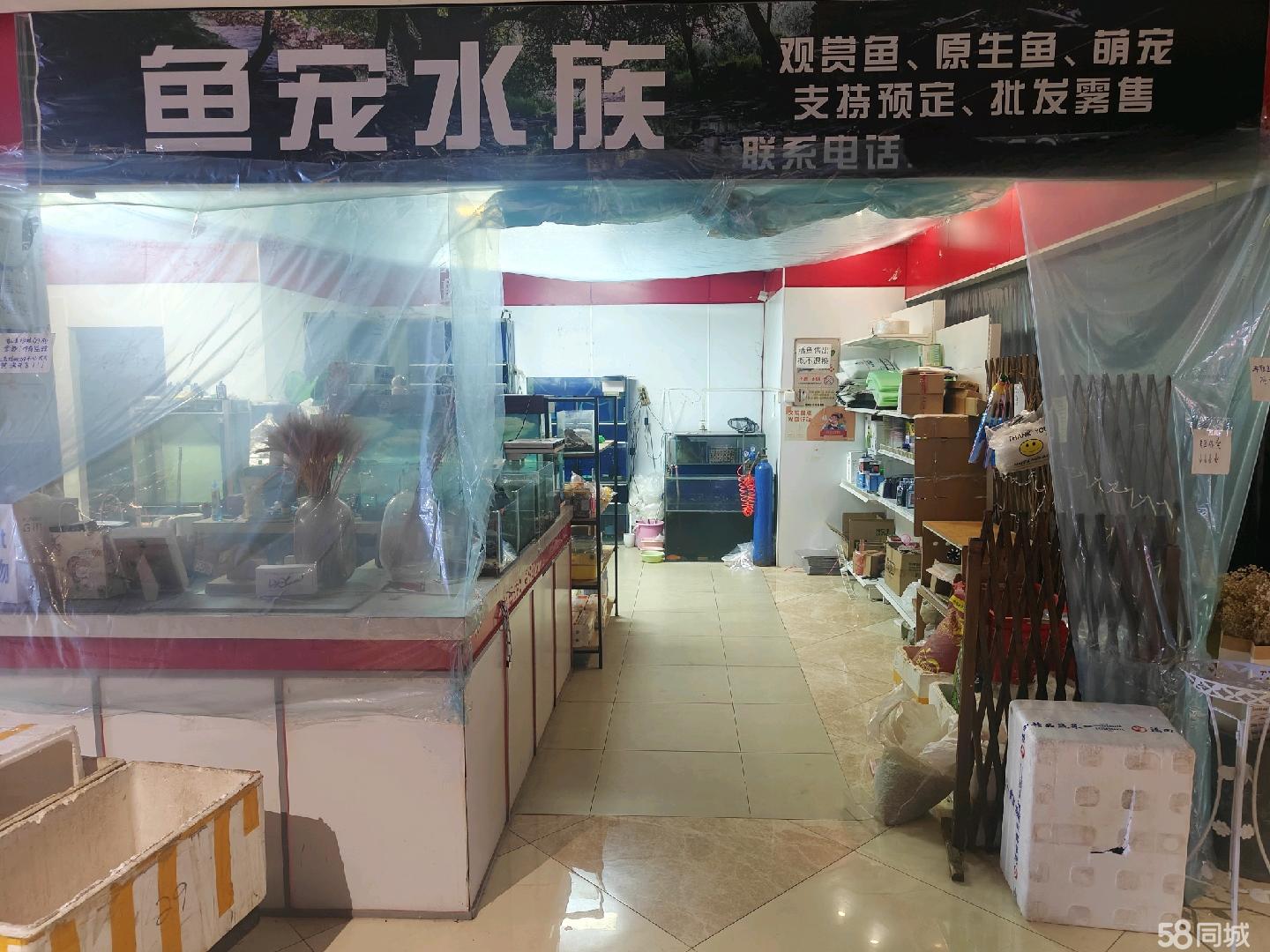 鱼宠水族旁70平潜力铺5年观赏鱼老店。有稳定的客源加美团外卖