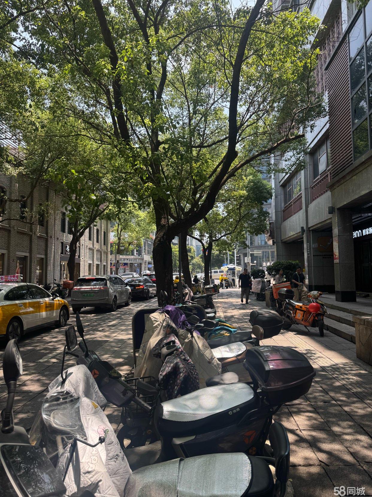 三坊七巷吉庇路80平,方正餐饮店,门头宽6米。精装带卫生间