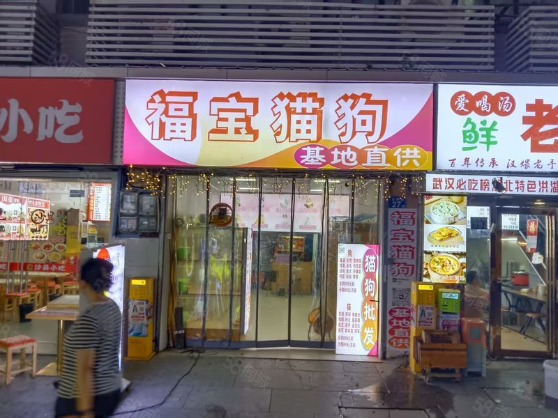 商铺通556 江岸区江汉路吉庆街福宝猫咪批发店 整转空转皆可