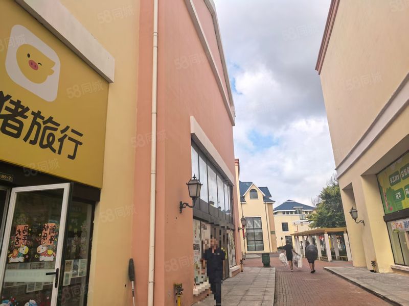 998静海区团泊西儿童乐园整体转让