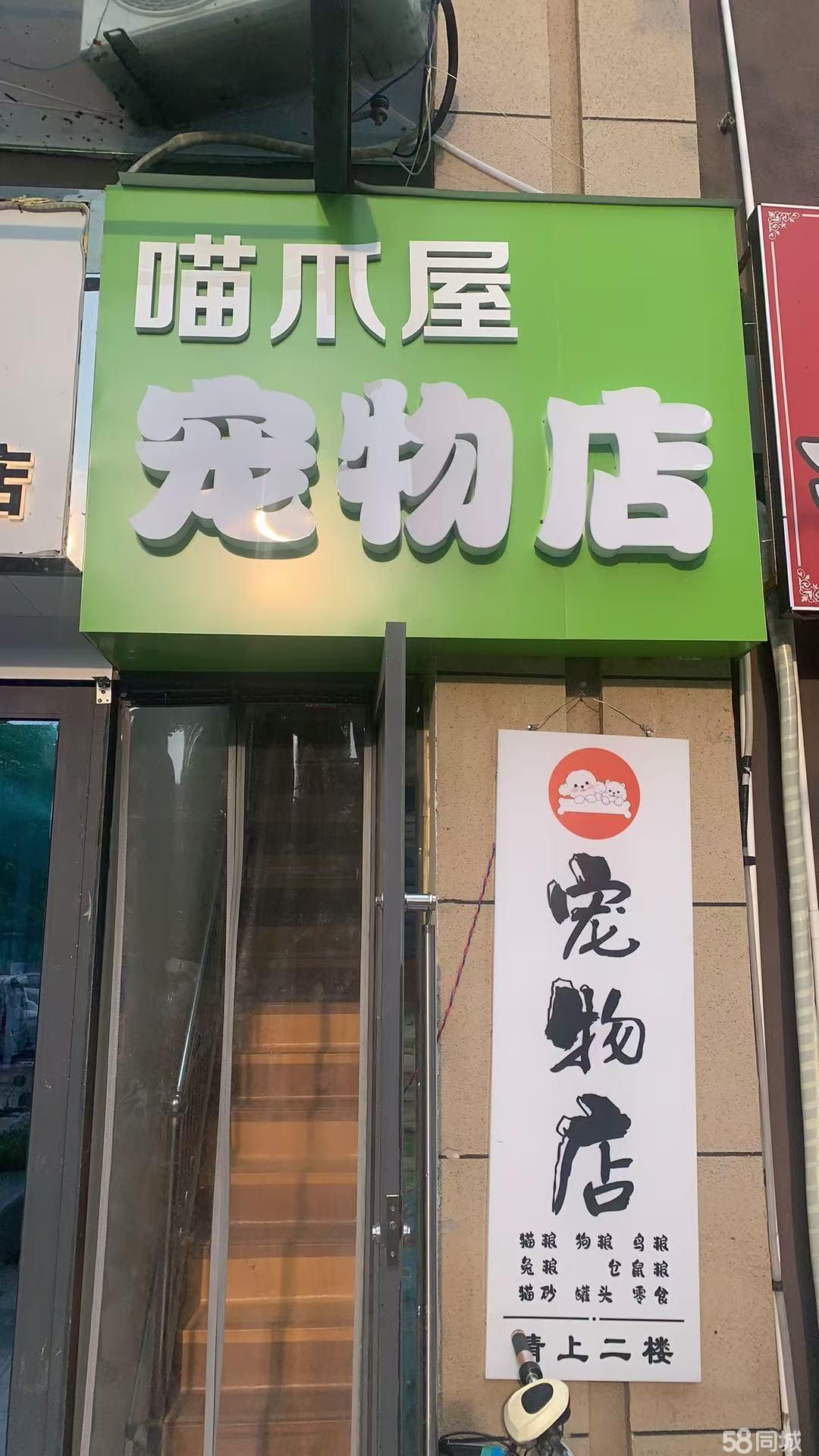 临街宠物店 熟区待接